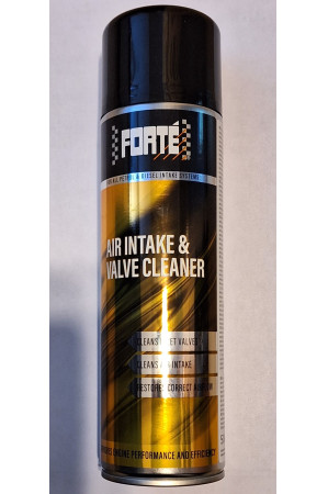 Forté Air Intake & Valve Cleaner 